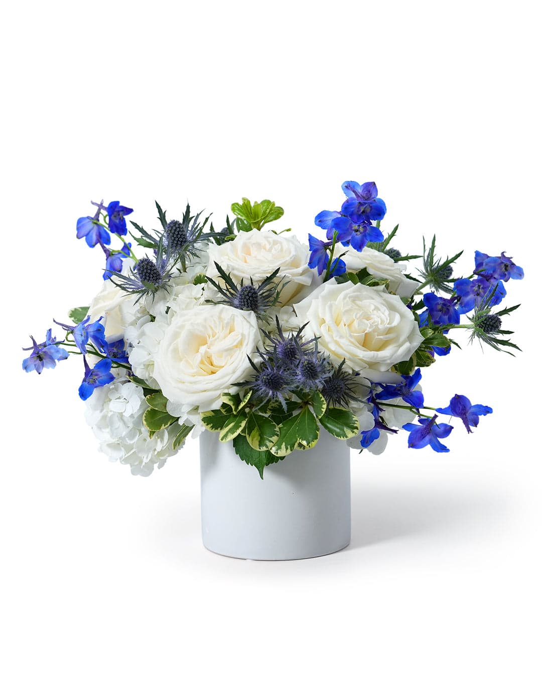 Elegant floral arrangement featuring white roses and vibrant blue flowers, perfect for any occasion.