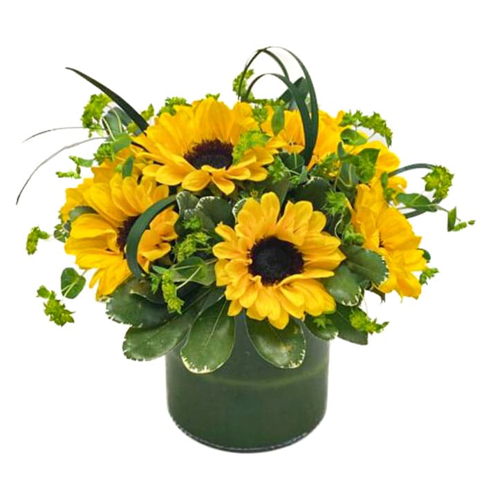 Bright yellow sunflowers arranged with greenery in a stylish green vase, perfect for uplifting any space.