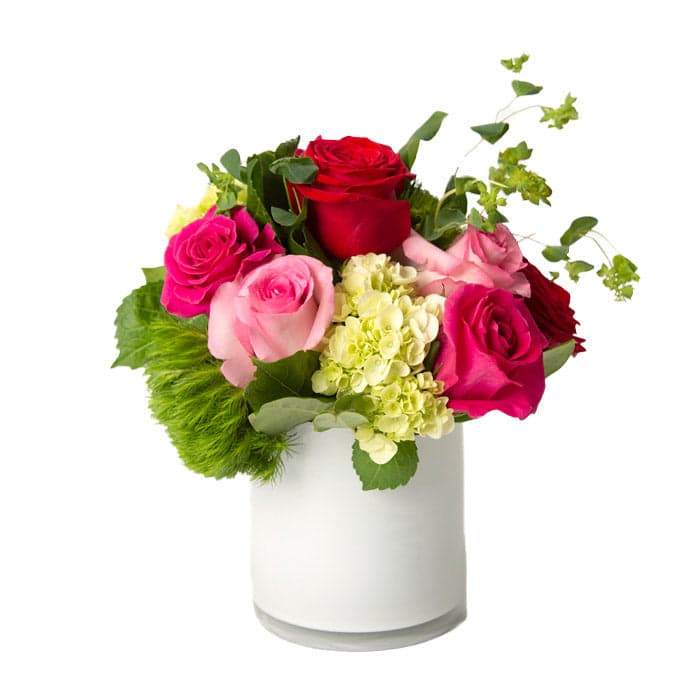 Vibrant bouquet featuring red and pink roses, green hydrangeas, and lush greenery in a stylish white vase.