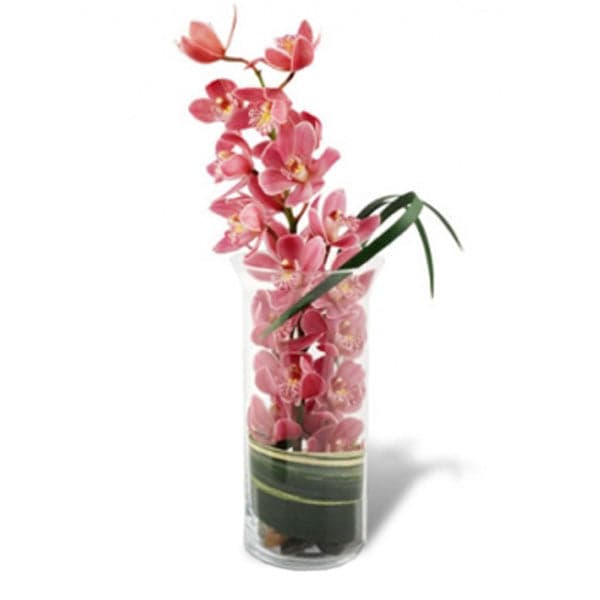 Beautiful pink orchids elegantly arranged in a clear glass vase for a stunning floral display.