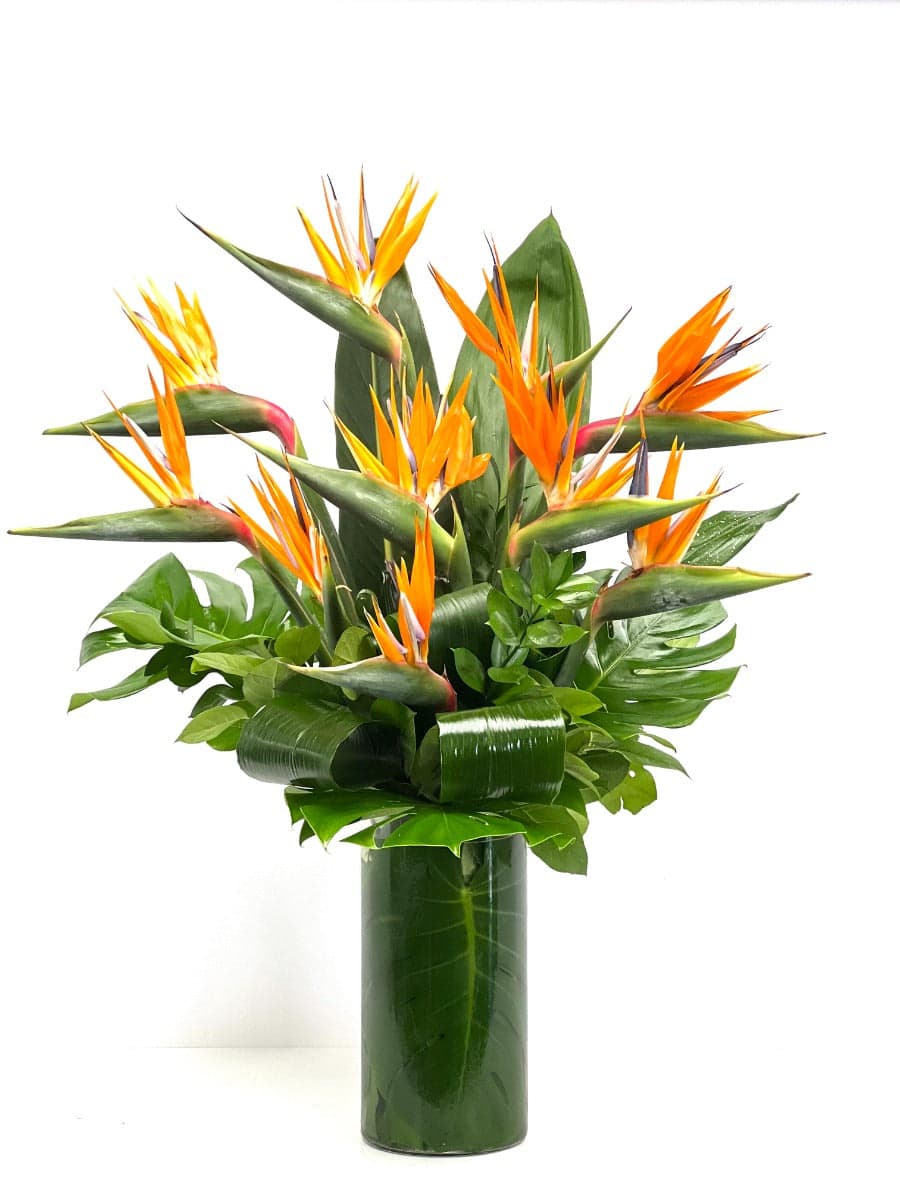 Vibrant bird of paradise flowers arranged with lush greenery in a sleek glass vase.